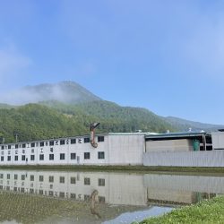 キャリたん経営者インタビュー　記事公開されました！